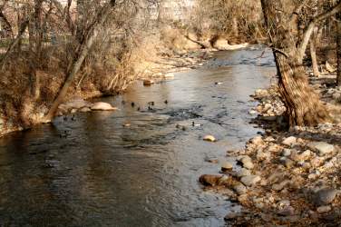 on a creek